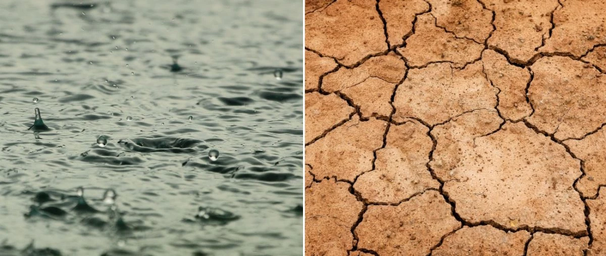 Εφιάλτης: Να τι θα συνέβαινε αν δεν έβρεχε για 100 χρόνια (βίντεο)